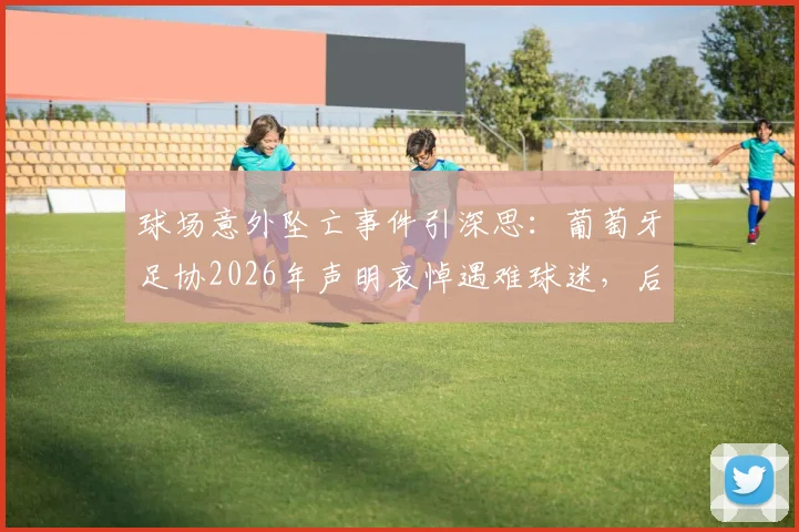 球场意外坠亡事件引深思：葡萄牙足协2026年声明哀悼遇难球迷，后续调查与安全警示