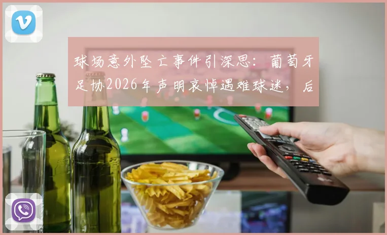 球场意外坠亡事件引深思:葡萄牙足协2026年声明哀悼遇难球迷,后续调查与安全警示