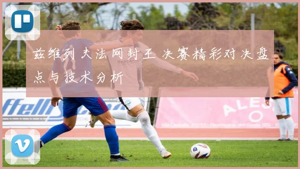 兹维列夫法网封王 决赛精彩对决盘点与技术分析