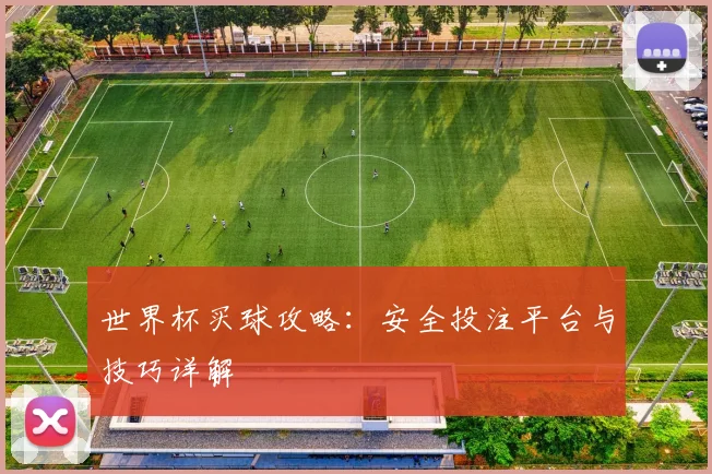 世界杯买球攻略：安全投注平台与技巧详解