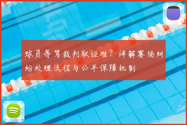 球员辱骂裁判取证难?详解赛场纠纷处理流程与公平保障机制