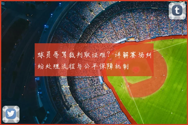 球员辱骂裁判取证难？详解赛场纠纷处理流程与公平保障机制