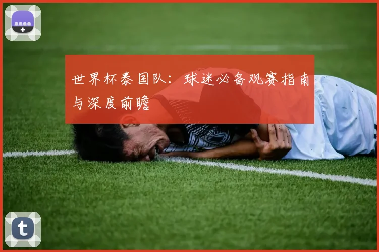 世界杯泰国队：球迷必备观赛指南与深度前瞻